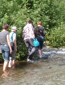 Walking in the stream with the spawning salmon